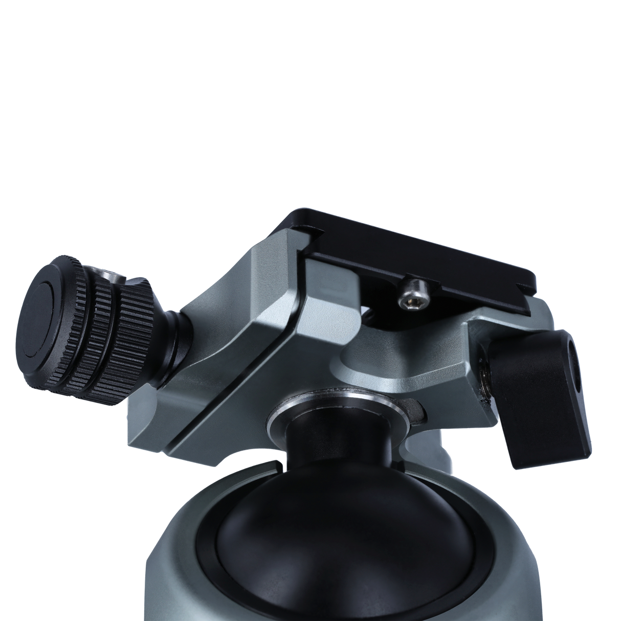 Stativkopf | für Lion Rock Pro