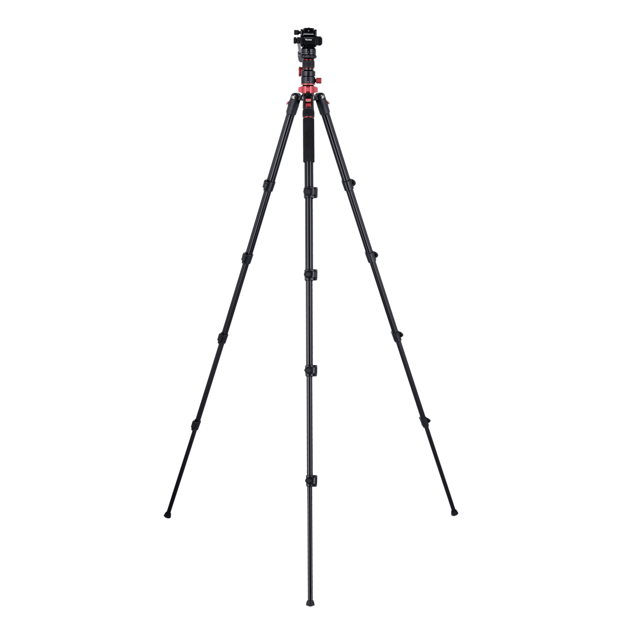 Stativ I Compact Traveler No.2 XL I Video