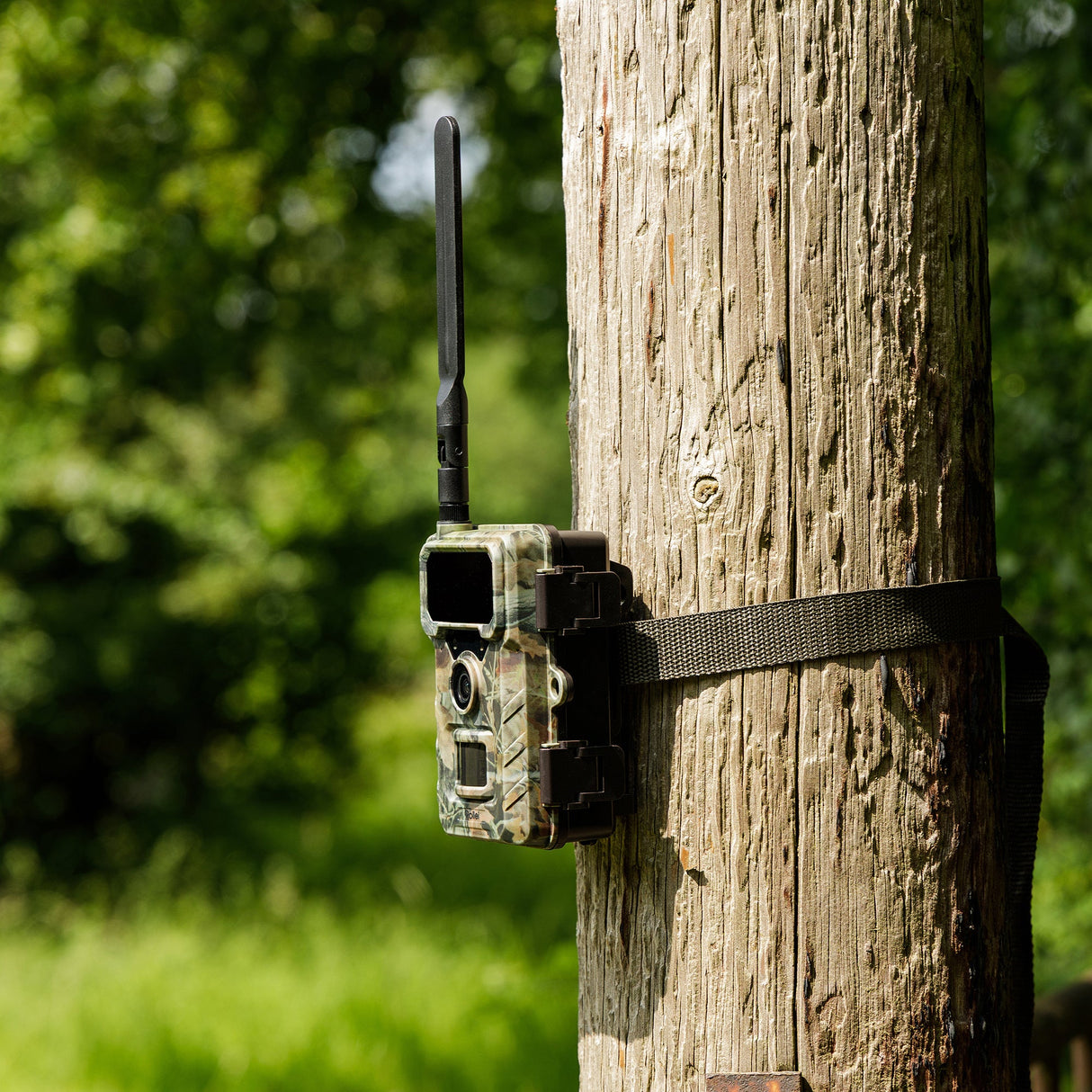 Wildkamera 4G SIMConnect