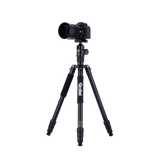 Stativ | Aluminium | C6i