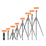 Stativ | Aluminium | C5i
