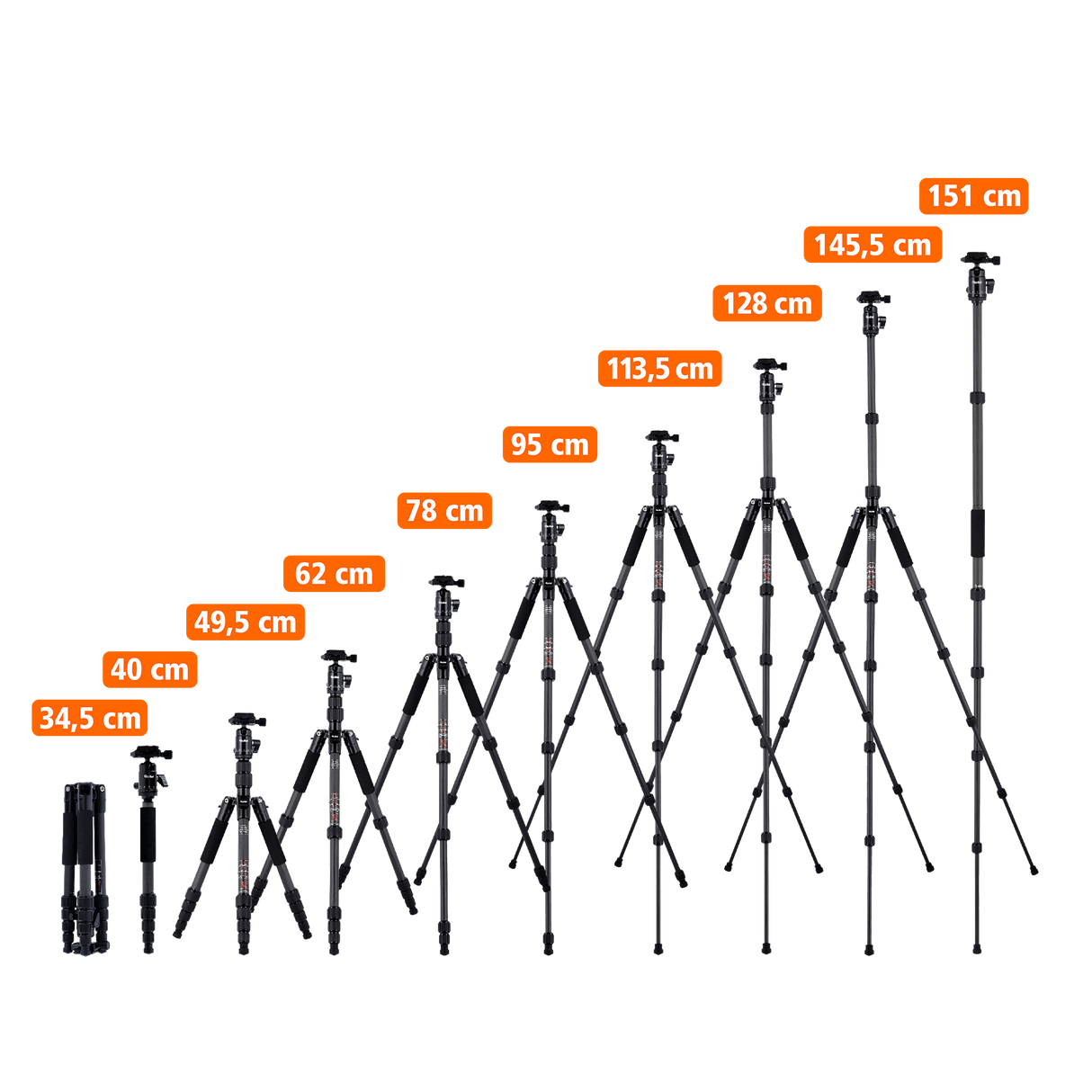 Stativ | Carbon | Compact Traveler No. 1