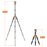 Stativ | Carbon | Compact Traveler No. 1