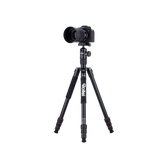 Stativ | Aluminium | C5i