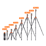 Stativ | Carbon | C5i
