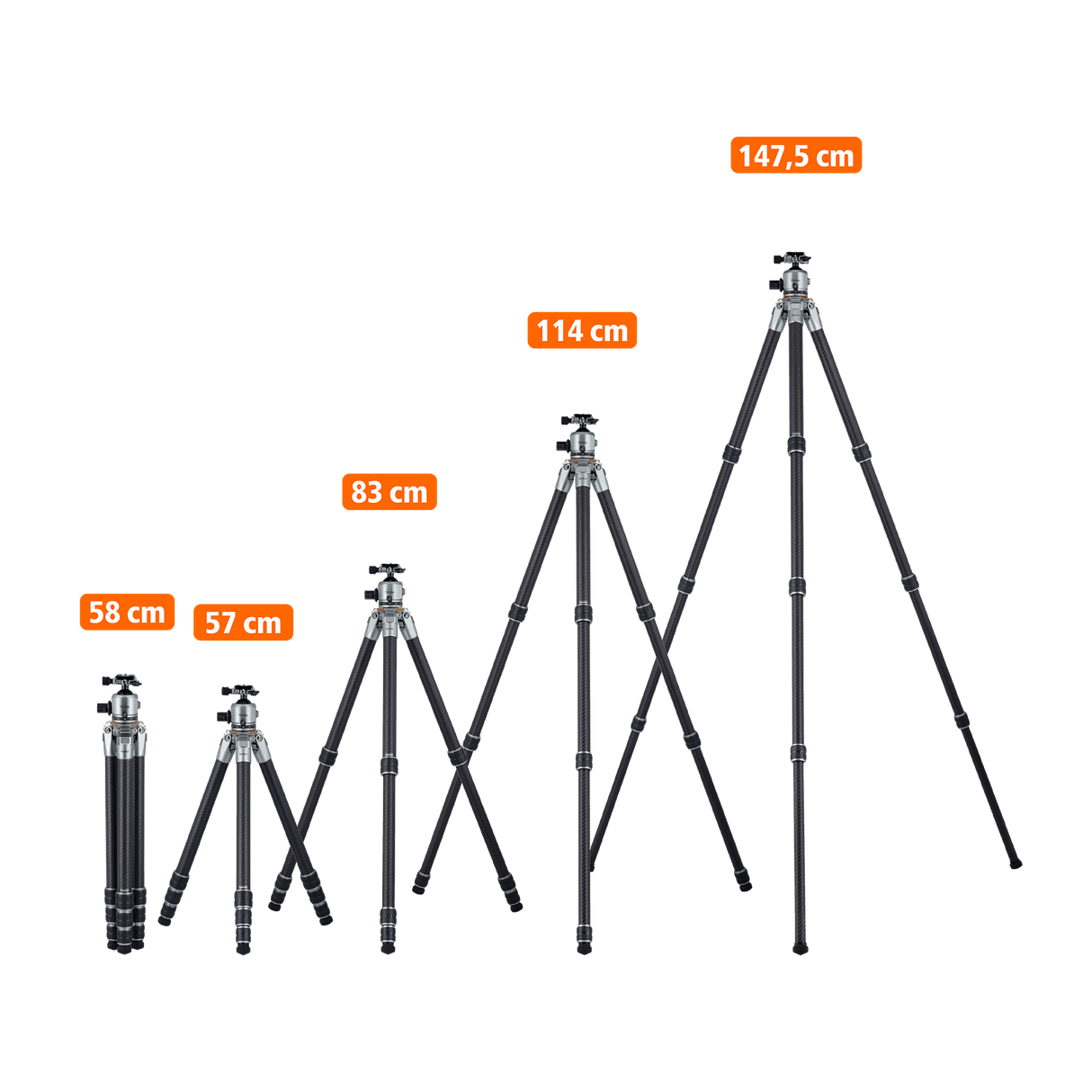 Lion Rock Pro inkl. Stativkopf