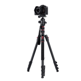 Stativ I Aluminium I Compact Traveler No. 2