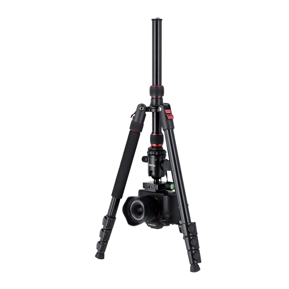 Stativ I Aluminium I Compact Traveler No. 2