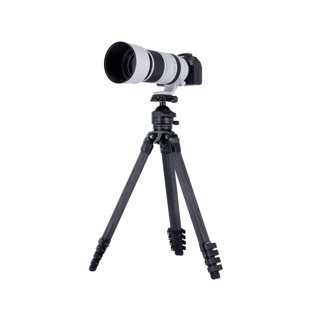 Lion Rock Pro Instinct inkl. Stativkopf