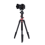 Stativ I Compact Traveler No.2 XL I Foto