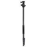 Stativ I Compact Traveler No.2 XL I Foto