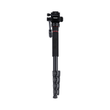 Stativ I Compact Traveler No.2 XL I Video