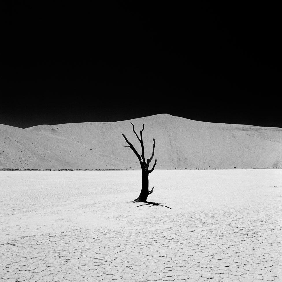 RPX Schwarzweiß-Negativfilm | 35 mm & Rollfilm | ISO 25 / 100 / 400