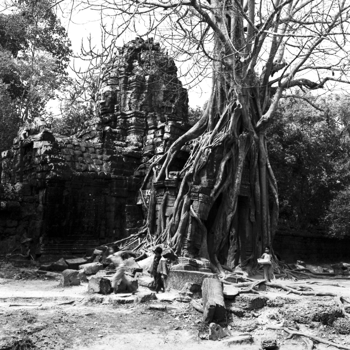 RETRO Schwarzweiß-Negativfilm | 35 mm & Rollfilm | ISO 80 / 400