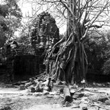 RETRO Schwarzweiß-Negativfilm | 35 mm & Rollfilm | ISO 80 / 400